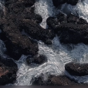 棕色 土黄色 单色LUT