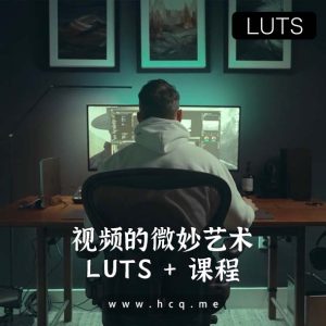 视频的微妙艺术 – LUTS + 色彩分级迷你课程（中文字幕）