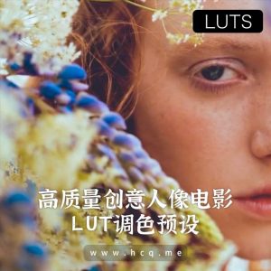 高质量创意人像电影 LUT调色预设