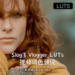 Slog3 Vlogger LUTs / 短视频记录风 slog3专用调色预设