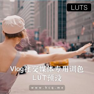 抖音、tiktok、微博、Instagram 等vlog的 25 个漂亮的 LUT调色