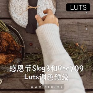 Sony 感恩节  Slog3和Rec 709 LUT调色