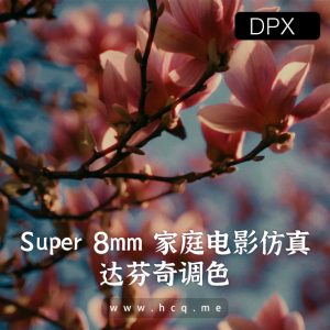 Super 8mm 家庭电影仿真功率等级胶片效果风格 – Davinci Resolve