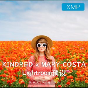 MARY COSTA 系列活力、多彩、艳丽西海岸的高能量lightroom预设