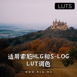 24款适用于 HLG 和 S-LOG 的索尼 A7S III / A7III 的 LUT包
