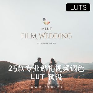 25款专业婚礼视频跟拍调色luts