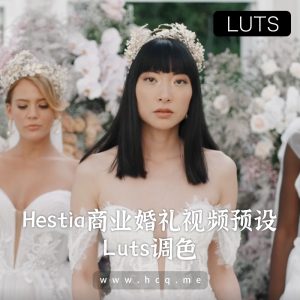 Hestia商业婚礼Luts视频调色预设
