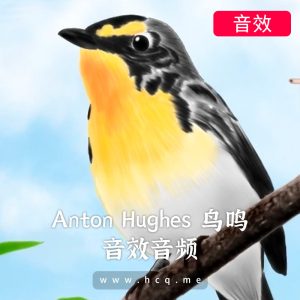 Anton Hughes 鸟鸣音效包-FLAC