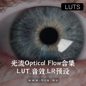 光流Optical Flow- 视频创作者必备合集