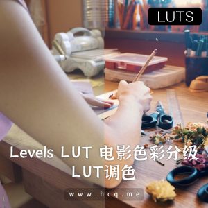 Levels LUT 电影色彩分级Luts包-S-Log2 & S-Log3