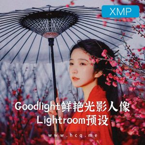 Goodlight阴影和高光中出现鲜艳色彩-人像Lightroom调色预设