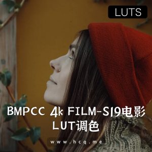BMPCC 4k FILM-S19 电影 LUT预设