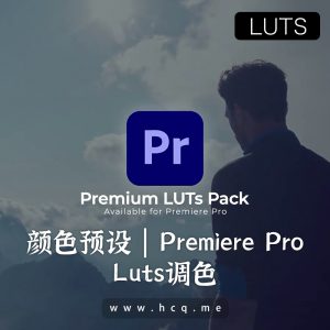 LUT 颜色预设 | Premiere Pro – 视频模板