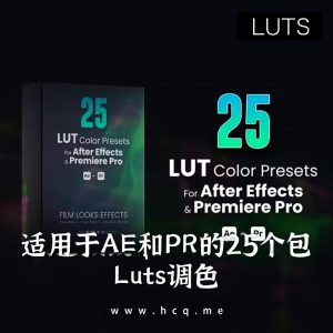 适用于 After Effects 和 Premiere Pro 的 25 个 LUT 包