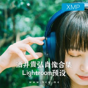 酒井貴弘肖像Lightroom 预设合集 桌面版+移动版